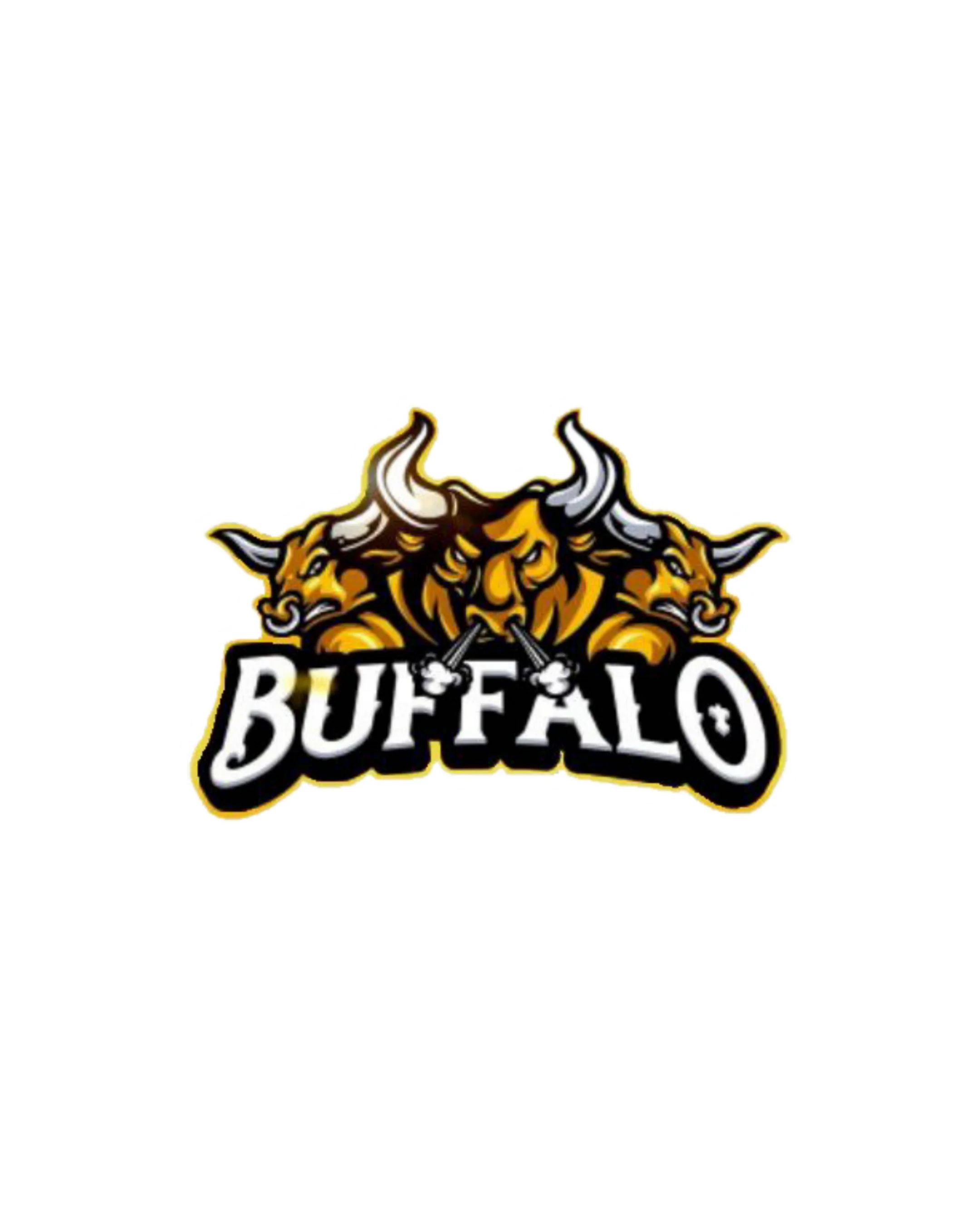 Jean Enrique Resplandor Sufia